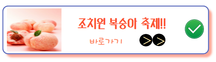 조치원 복숭아 축제 홈페이지
