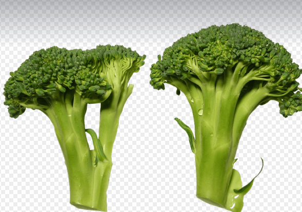 당뇨에 좋은 음식