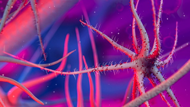 우림 지역에서 발견된 미확인 세균 &lsquo;코리엔시스 박테리움(Coriensis Bacterium)&rsquo;