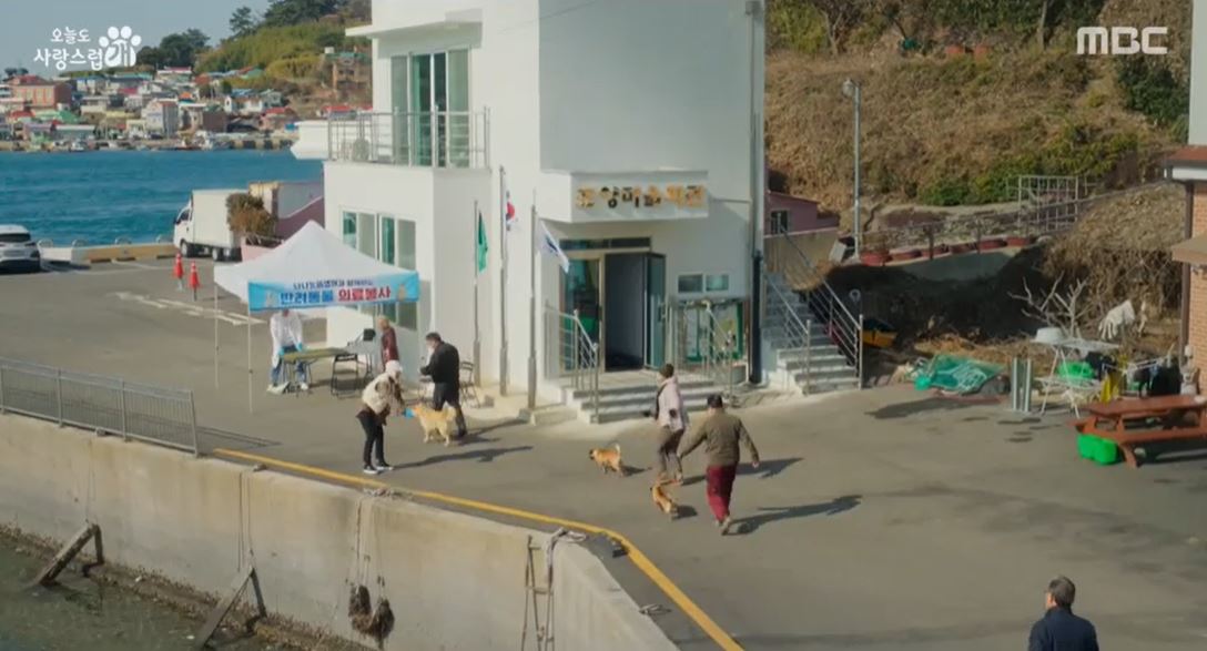 오늘도사랑스럽개_11회