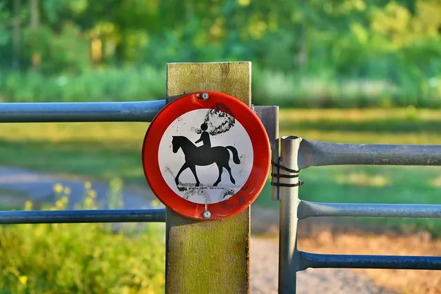 출국금지 여부 조회 법무부 출입국 관리 방법_6