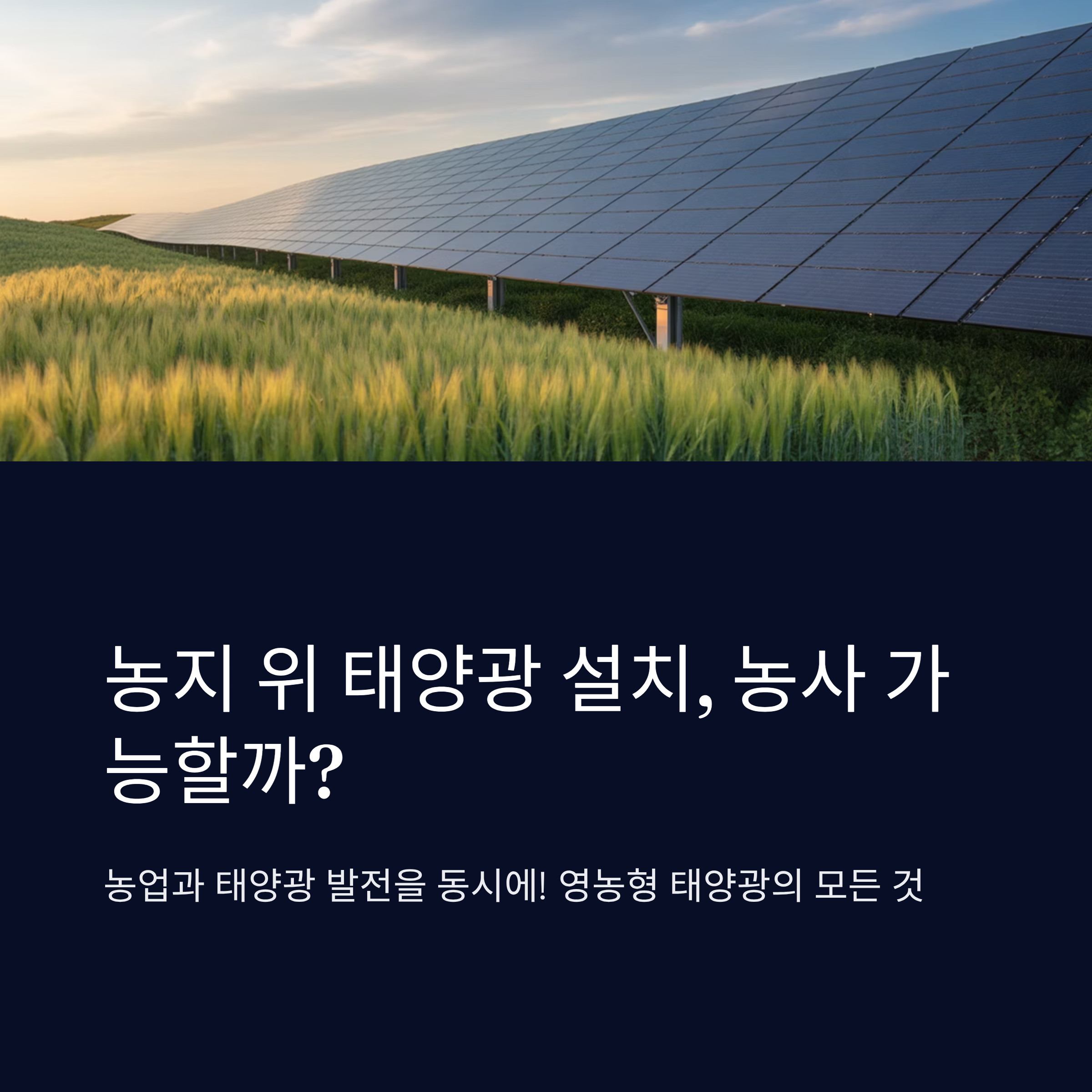 농지 위 태양광 설치, 농사 가능할까?