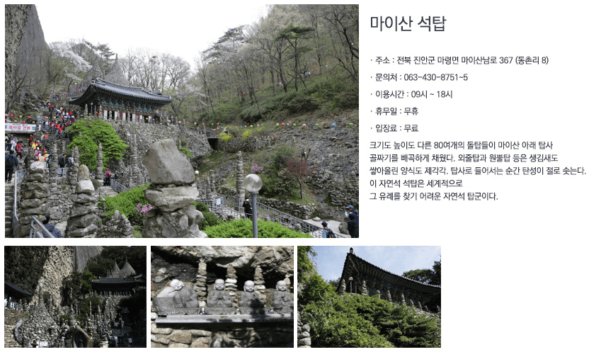 진안 꽃 잔디