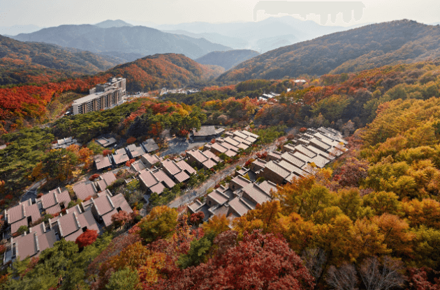 리솜포레스트-단풍