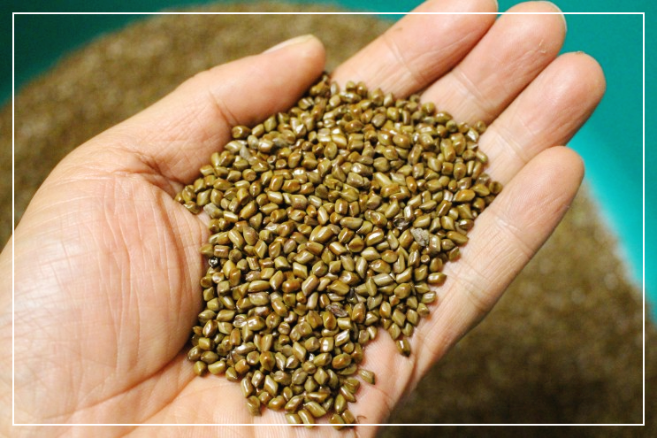 구내염에-좋은-음식