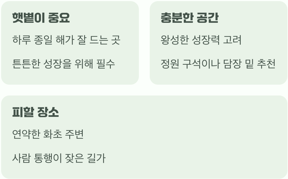 가장 중요한 첫 단추&amp;#44; &amp;#39;심는 장소&amp;#39;