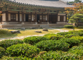 녹차 효능