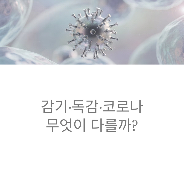 코로나 바이러스 이미지 사진