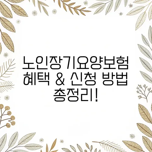 노인장기요양보험 혜택 & 신청 방법 총정리!