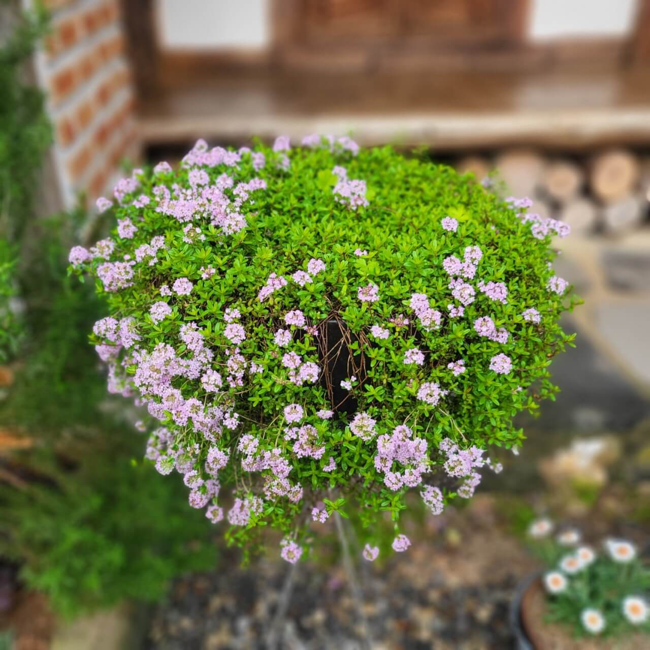 오늘N 나의 귀촌 일기 전남 나주 한옥 독채 숙소 촌캉스 봉하우스