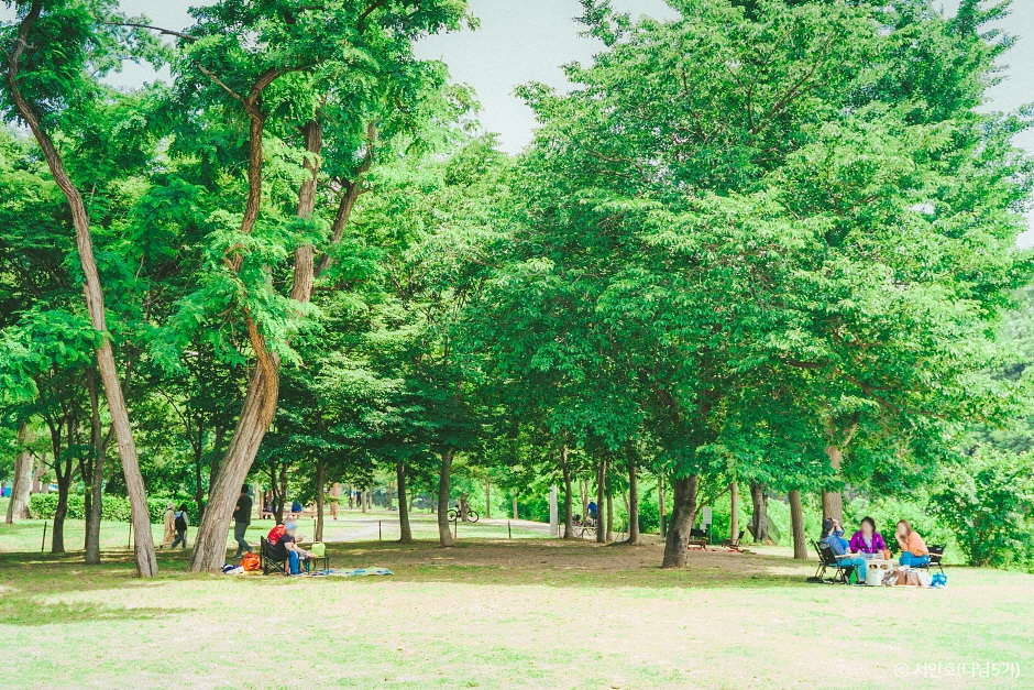 울산 선바위공원