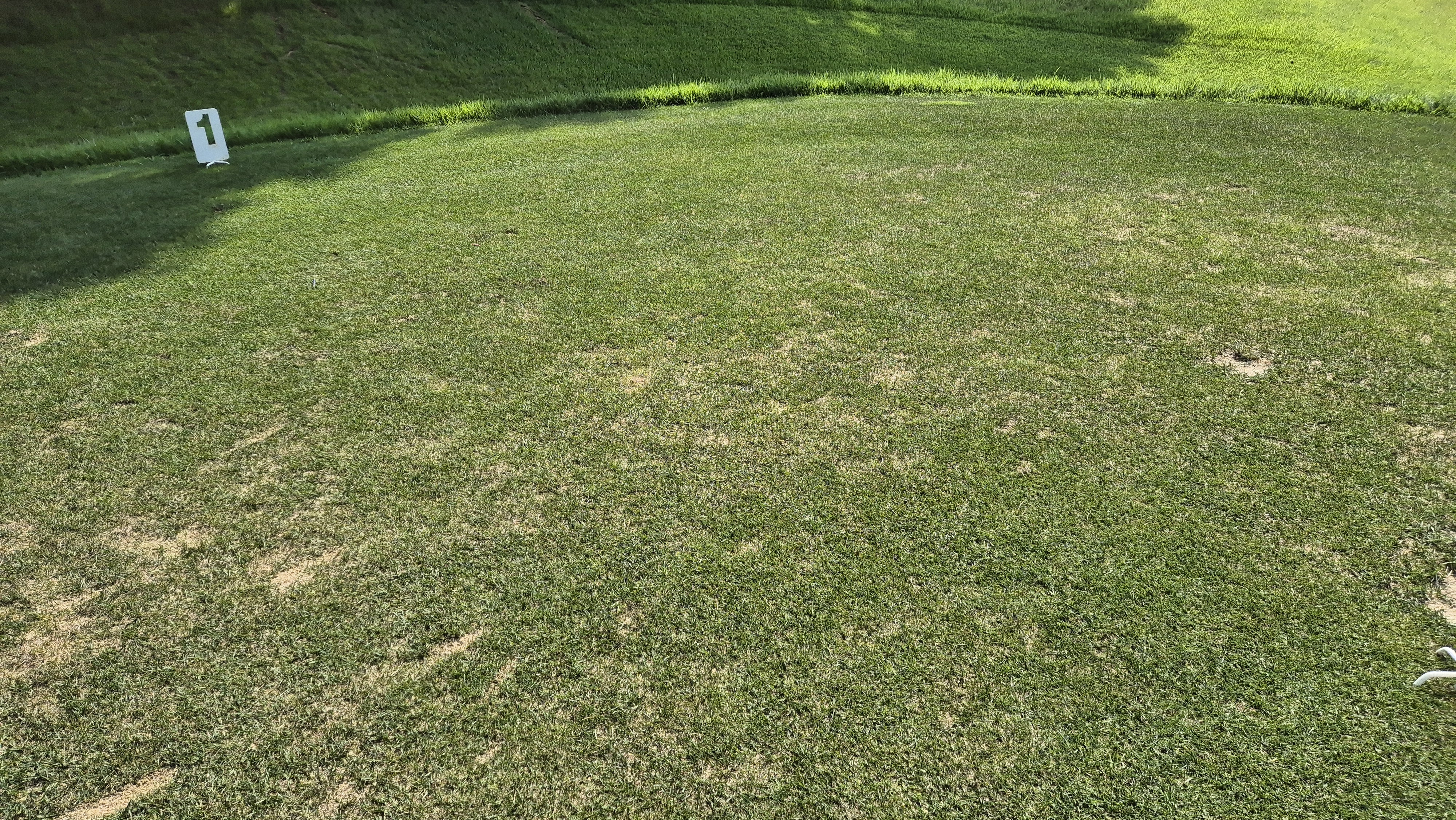 골프존카운티 안성H