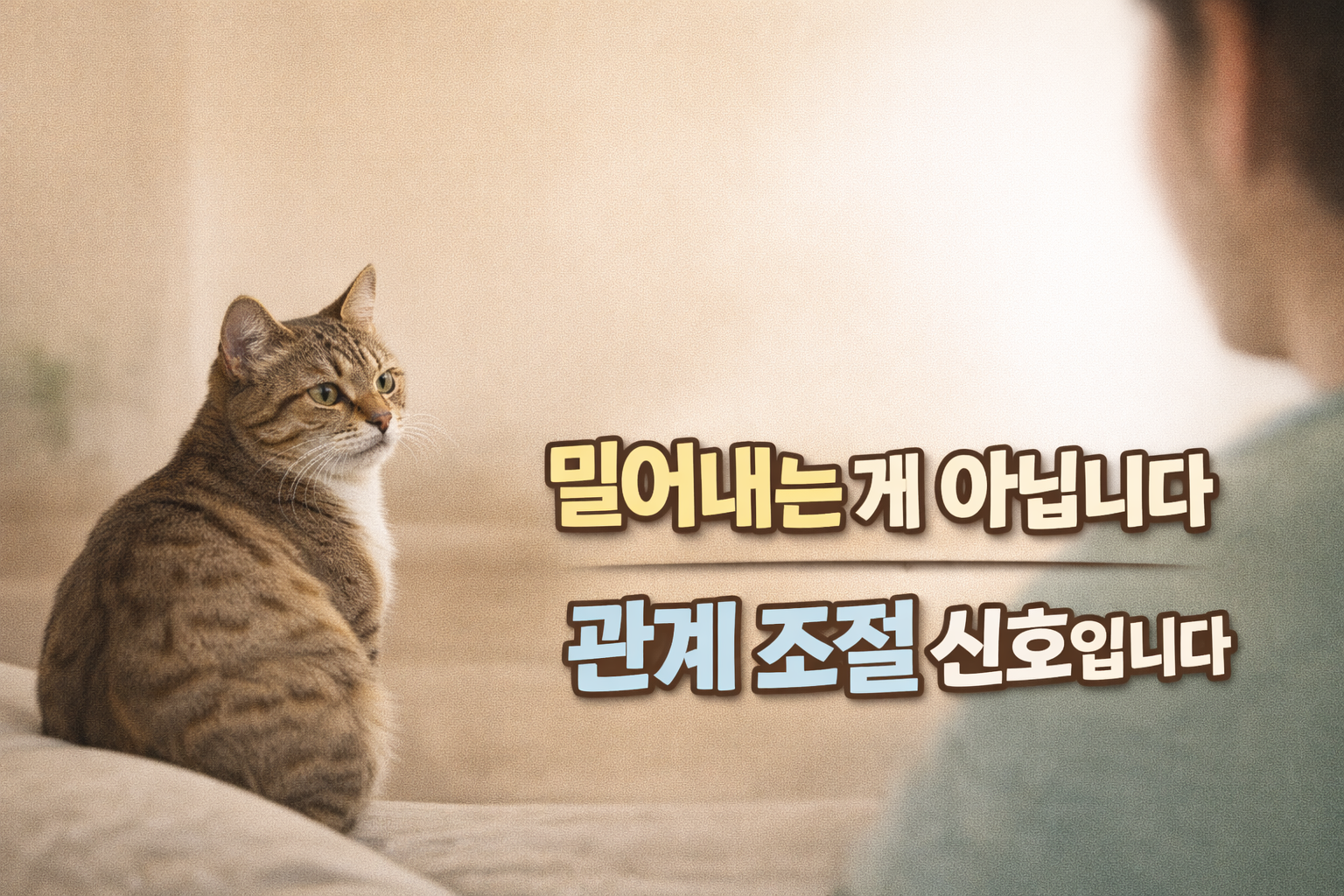 고양이가 보호자 옆에 앉되 닿지 않는 거리를 유지하는 이유 / 밀어내는 게 아니라, 조절하는 관계 신호입니다