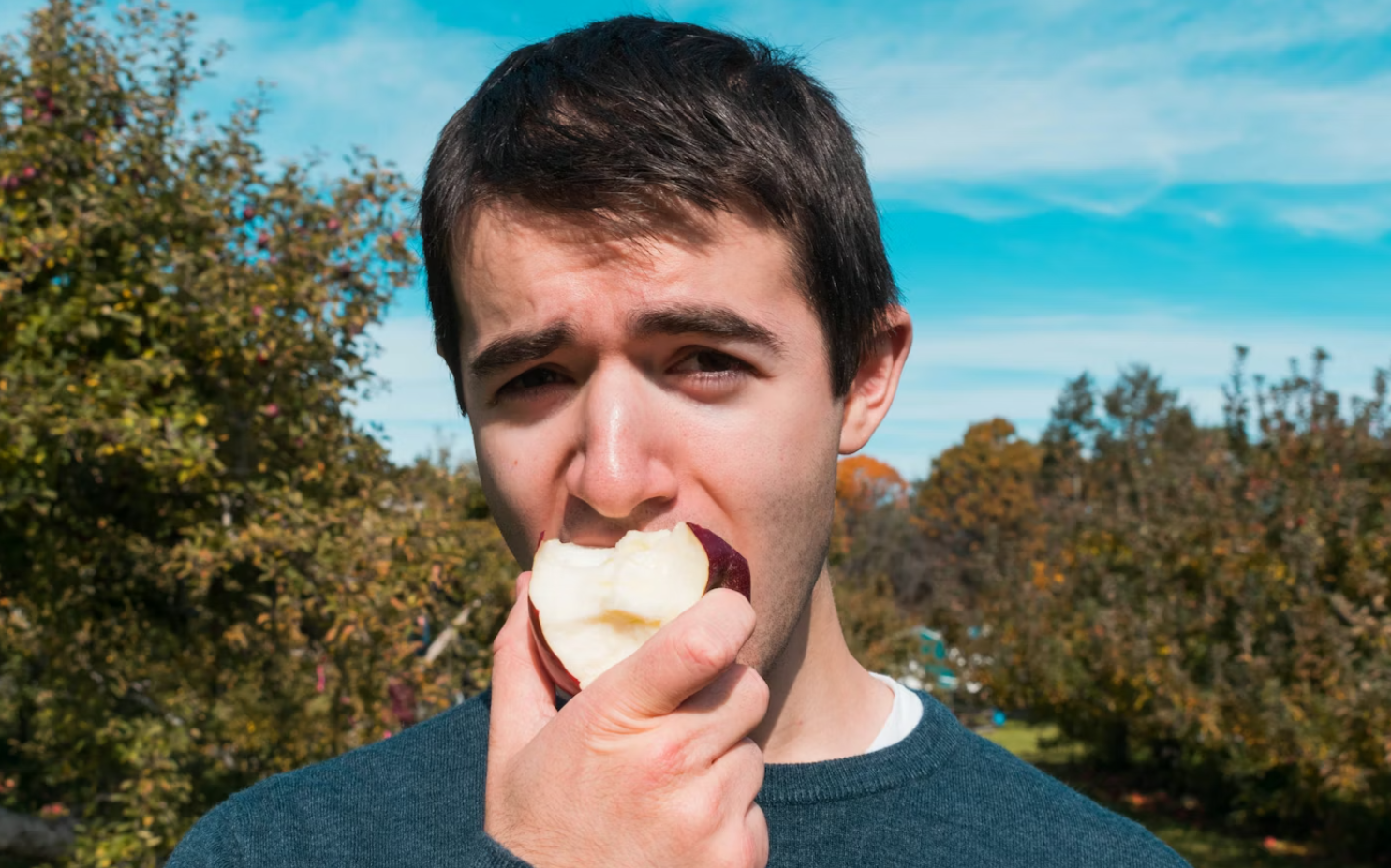 교차반응 제대로 알기: 꽃가루 알레르기와 특정 과일·견과의 연결