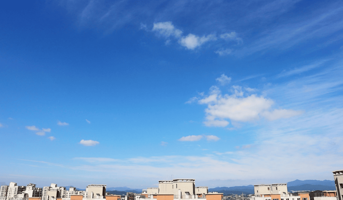 오피스텔_주택수_제외_2