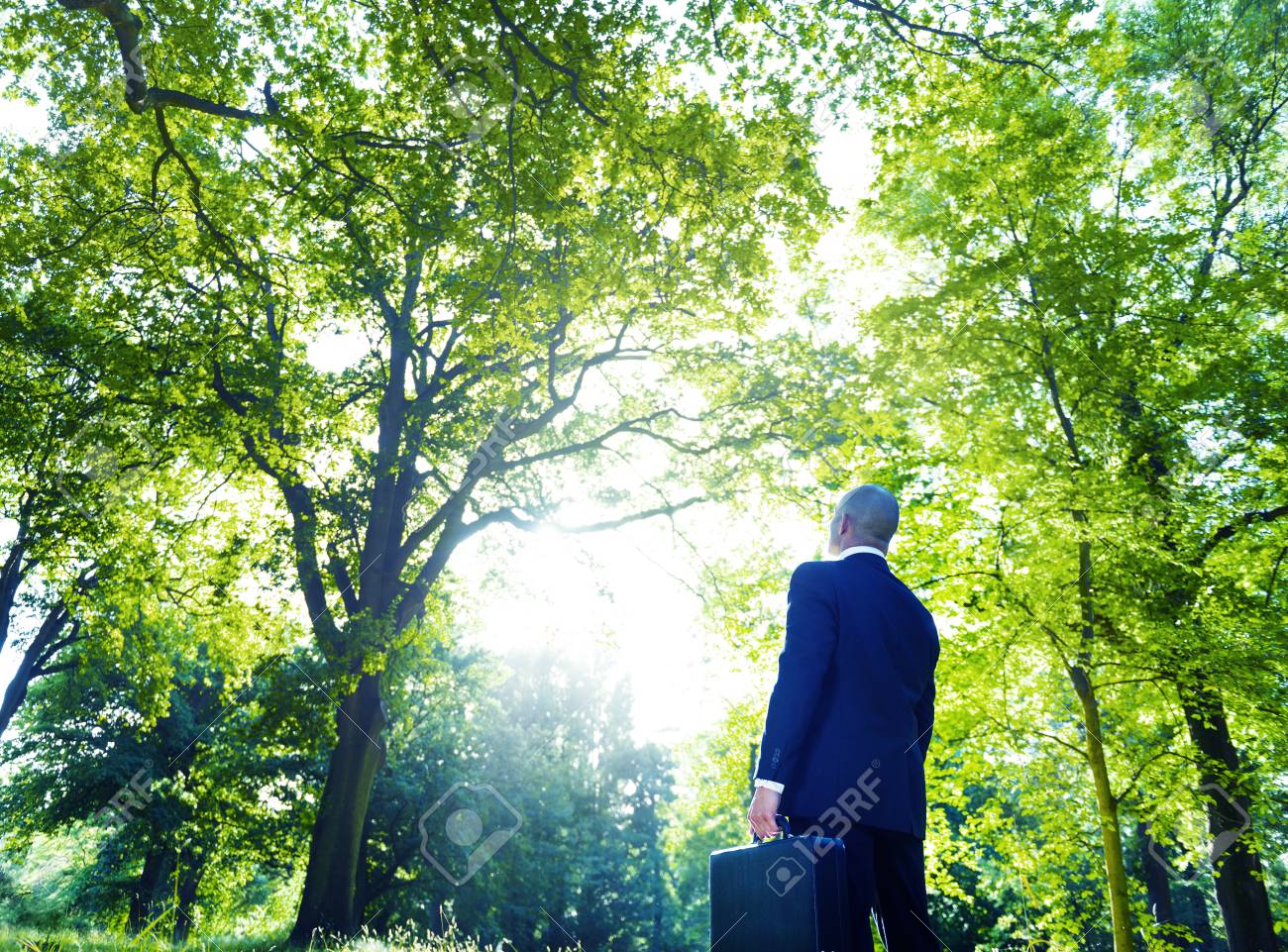 숲 속에서 걷기