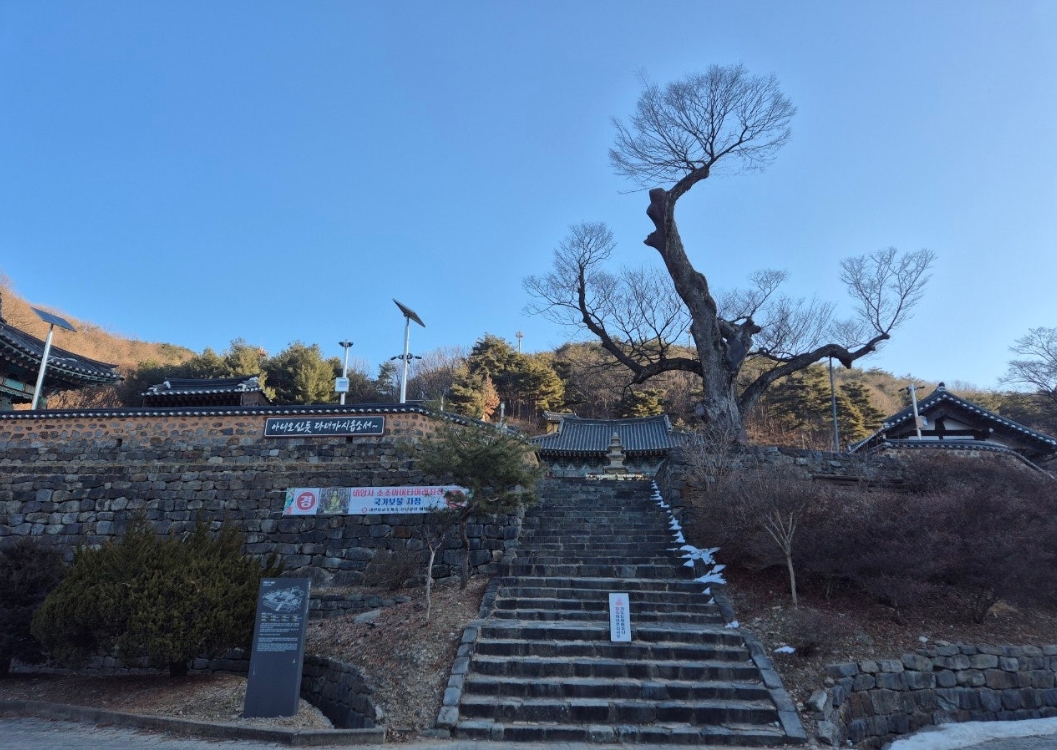 세종시 비암사 : 천년의 침묵을 깨고 드러난 백제 유민의 간절한 염원과 보물 백제 불교의 흔적이 남아 있는 유서 깊은 고찰