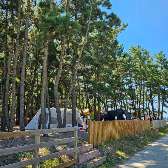 태안군 몽산포오션캠핑장 소개