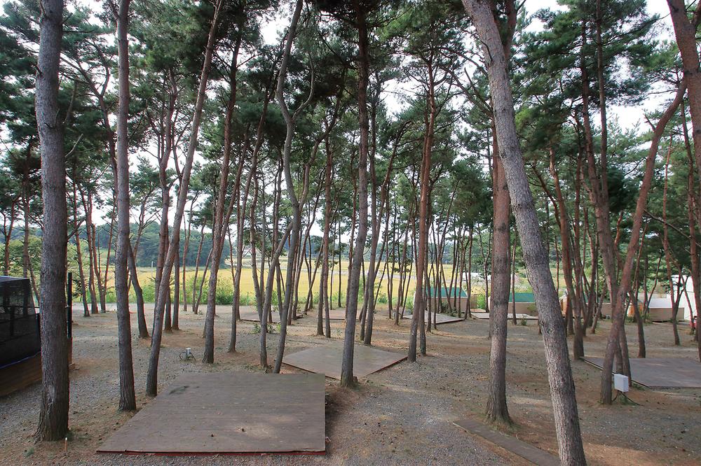 충남 서천 늘푸른캠핑장 소개