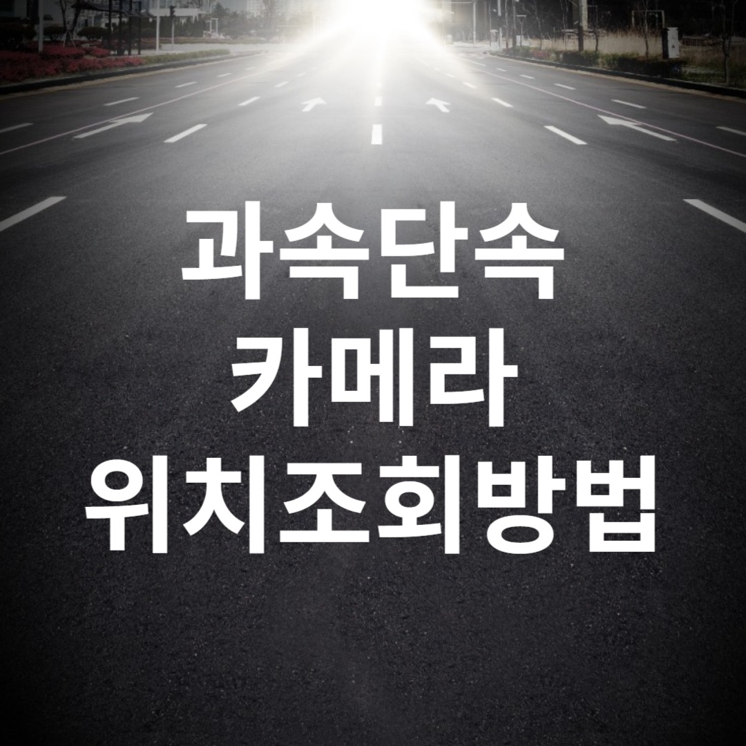 과속단속카메라위치조회방법