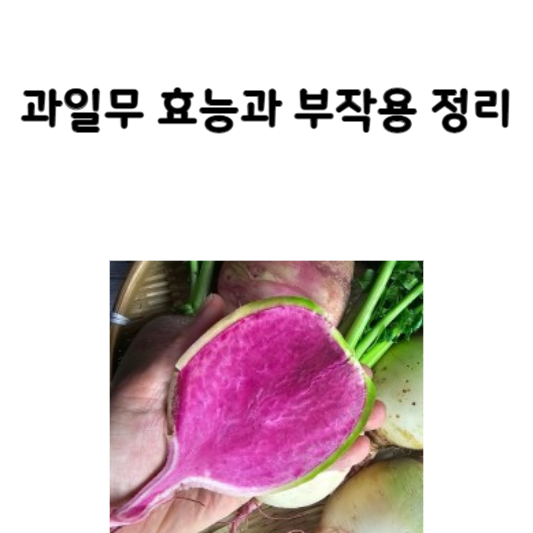 수박무 효능과 부작용