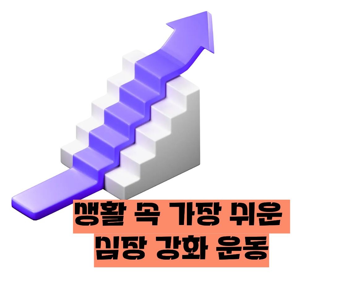 계단오르기 운동효과 