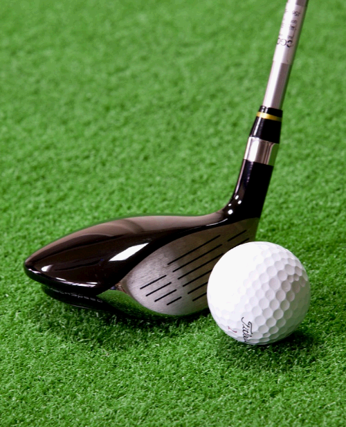 홀인원보험이란? 보장내용 비교 추천