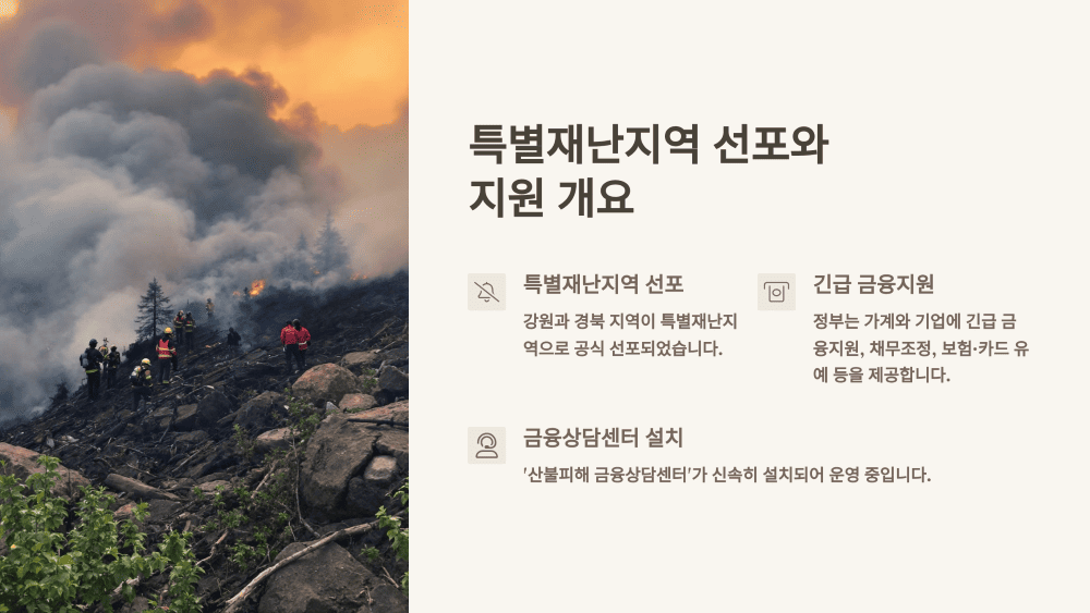 특별재난지역 선포와 지원 개요
