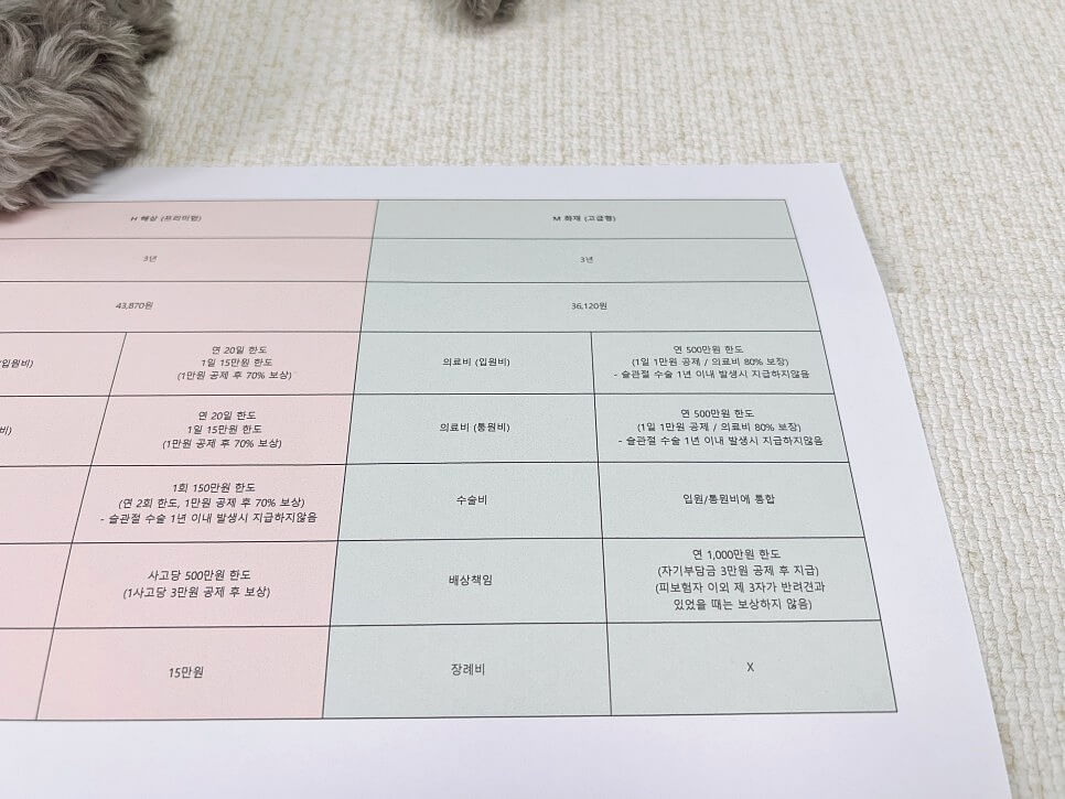 펫보험 비교