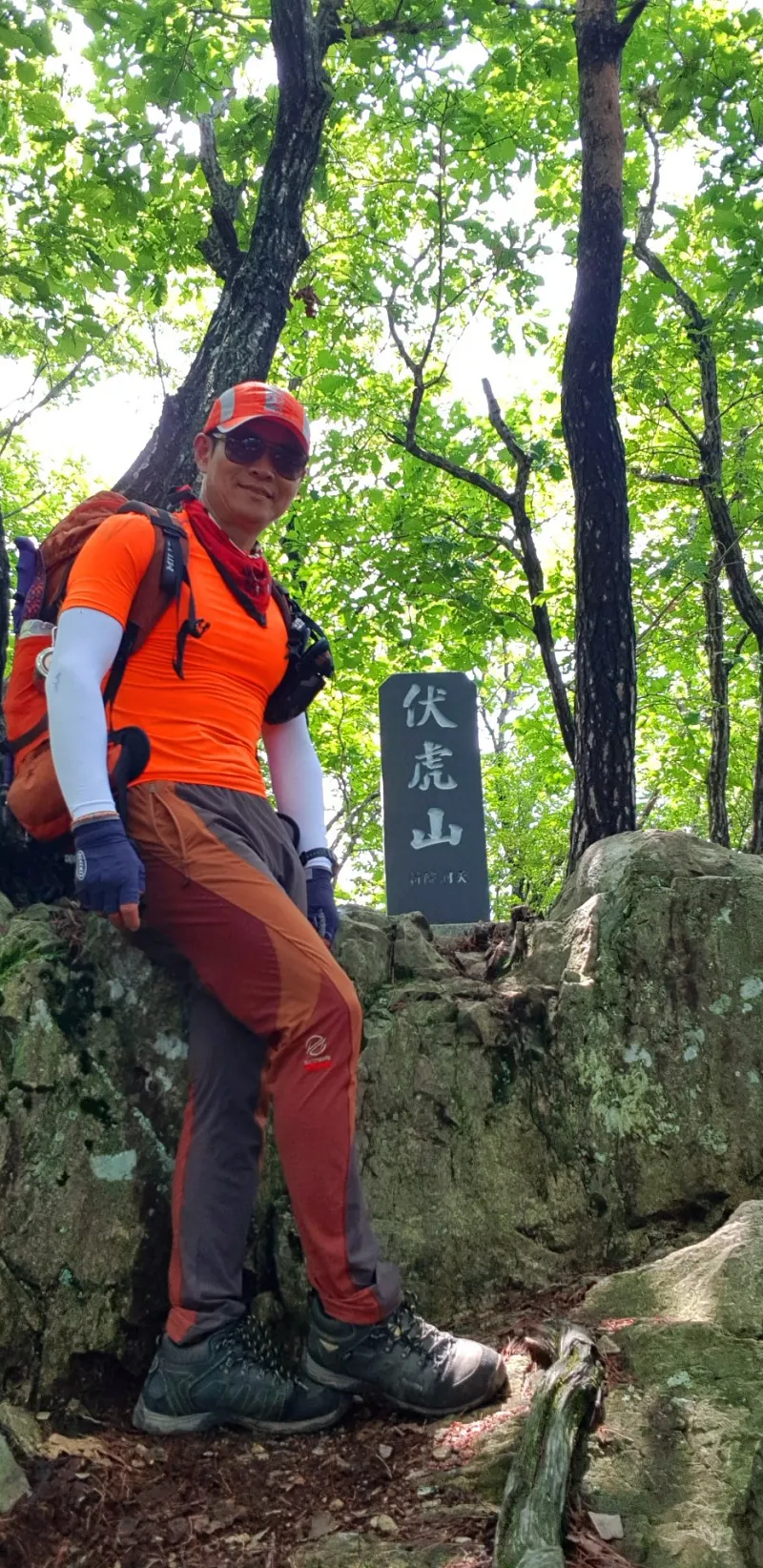청도 복호산