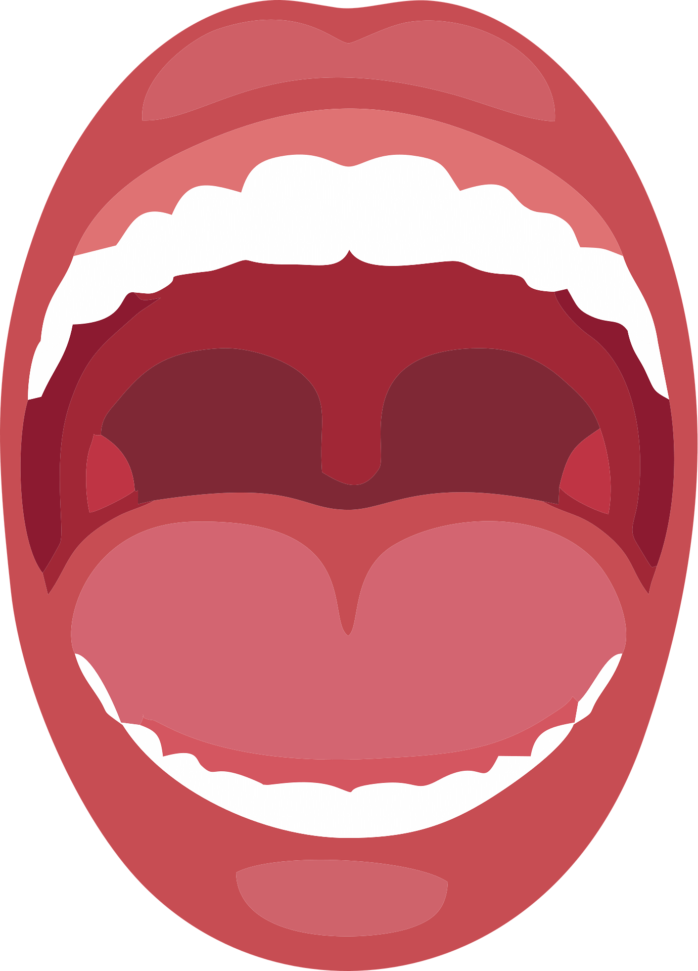 입병 빨리 낫는 법 총정리|하루만에 통증 줄이는 과학적 방법