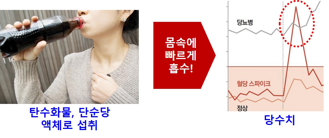 안티에이징생활