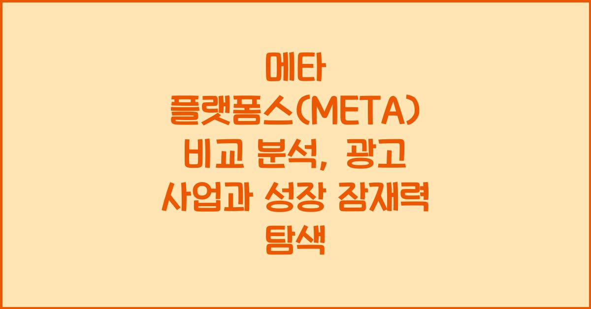 메타 플랫폼스(META) 비교 분석