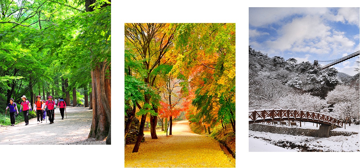 강천산 군립공원 홍보이미지