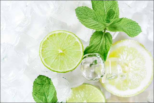 페퍼민트 효능 안내