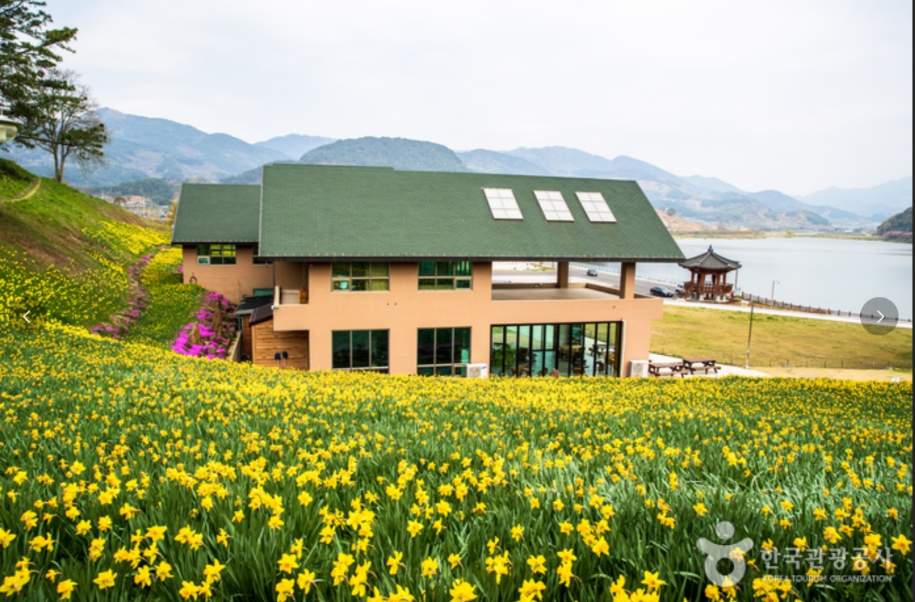 봄나들이 수선화 명소