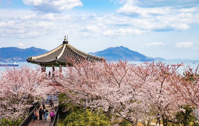 용월사 여행의 장점은?