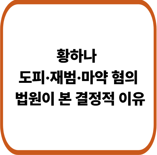 해외 도피 끝에 체포된 황하나, 마약 혐의 수사 다시 시작