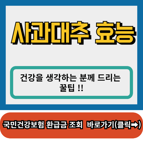 사과대추 효능,사과대추 칼로리