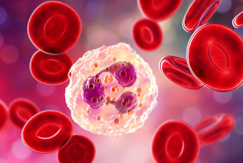 백혈구 수치 높으면