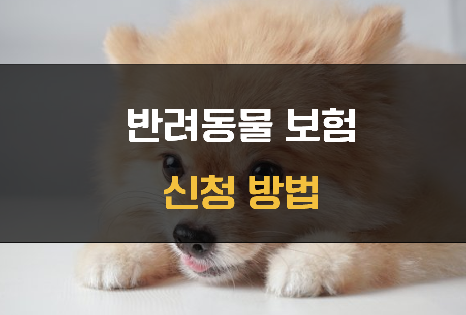 강아지보험 혜택