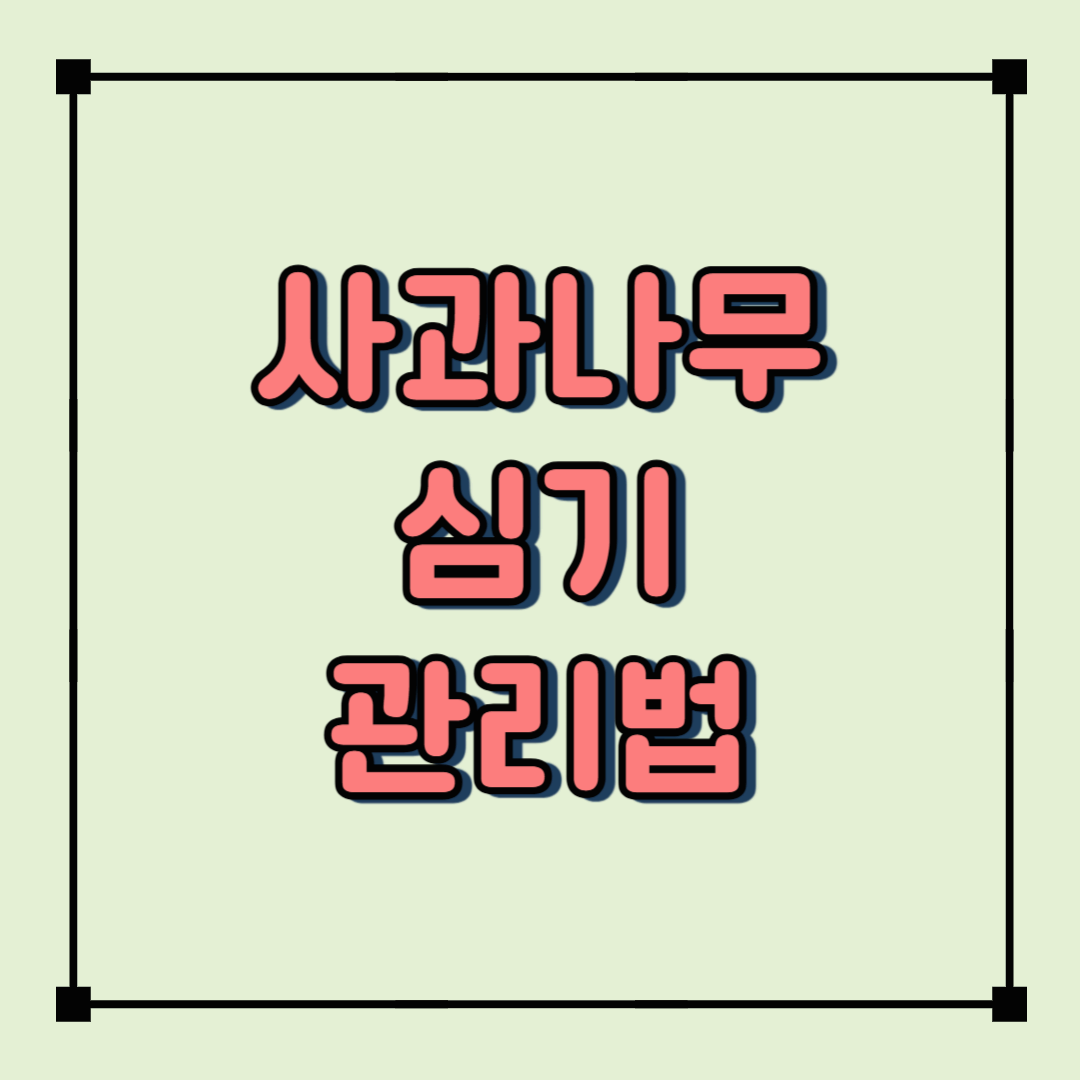 사과나무 언제 심어야 할까? 봄철 심기 방법 &amp; 관리법 총정리