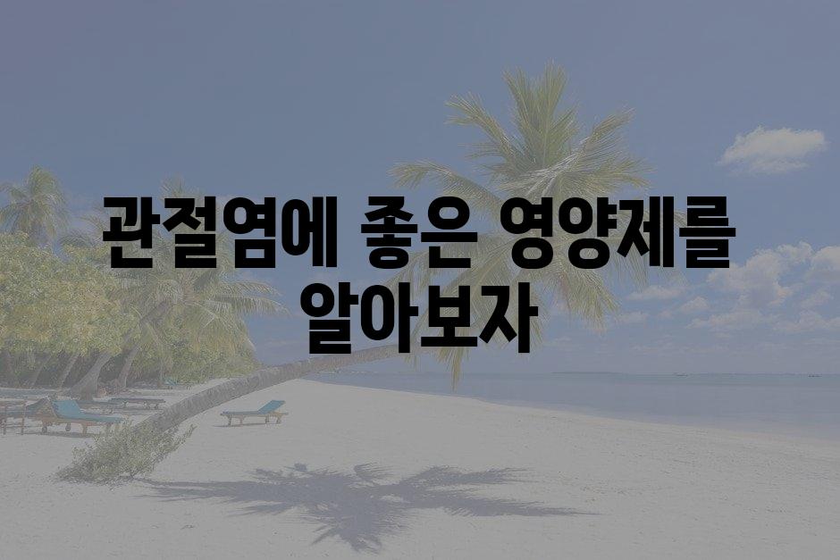 샘플 (79)