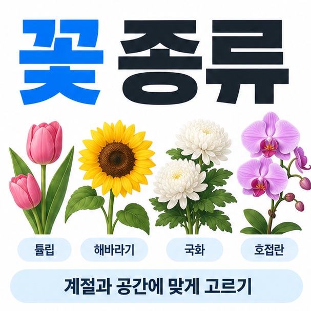 튤립 해바라기 국화 호접란 아이콘을 중심으로 꽃 종류 문구를 보여주는 대표 카드뉴스 이미지