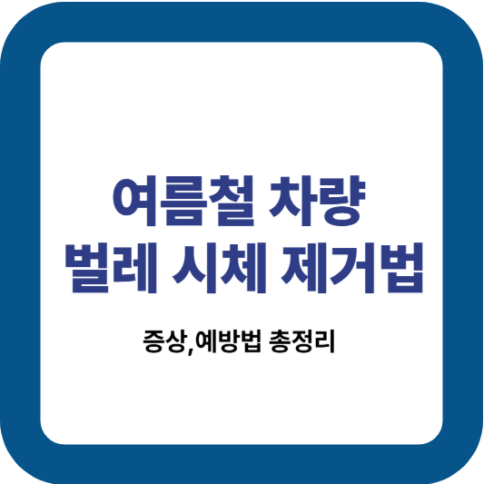 여름철 차량 벌레 시체 제거법