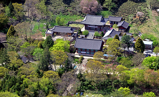 사천시 삼천포항 자연산 전어 완벽 가이드 &amp;#124; 2025년 여름 축제와 맛집 총정리