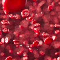 고지혈증에 좋은 음식 나쁜 음식