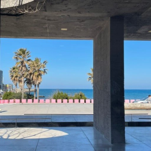 제주공항 주변 근처 맛집 진정성 카페