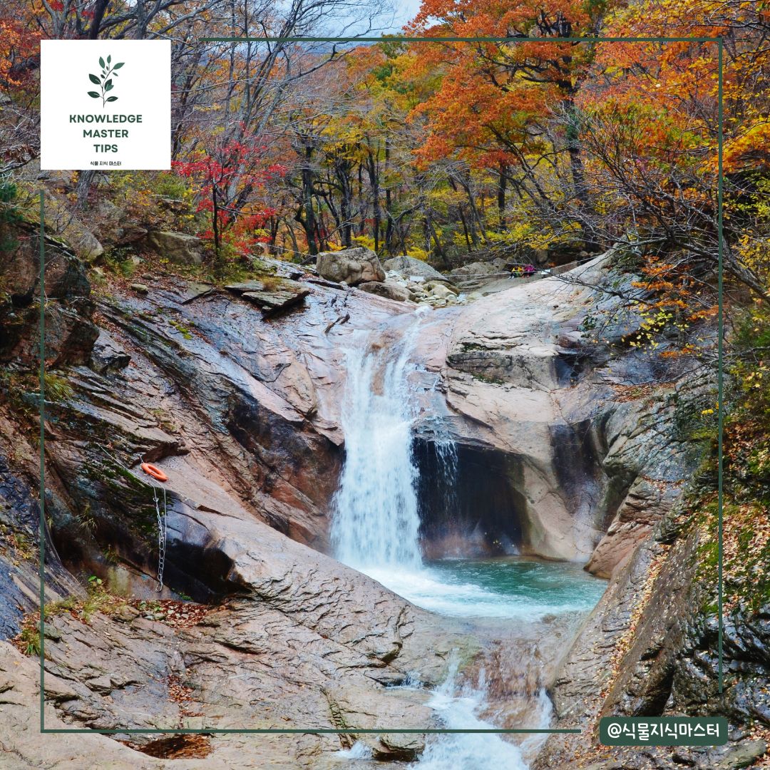 설악산 단풍
