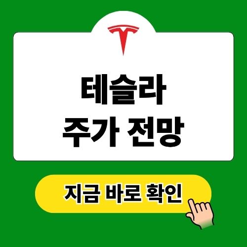 테슬라 주가 전망 하락 이유
